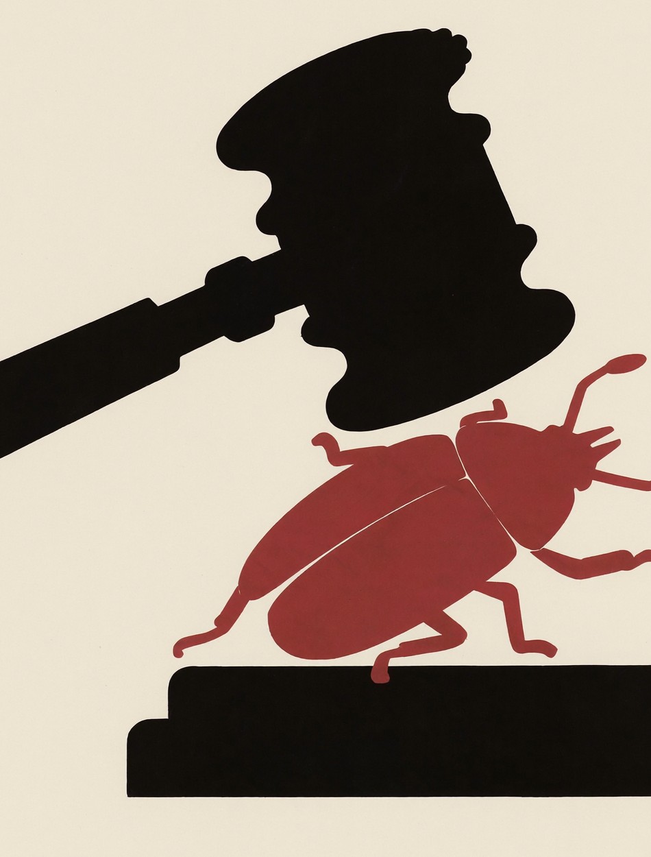 Editorial hero illustration