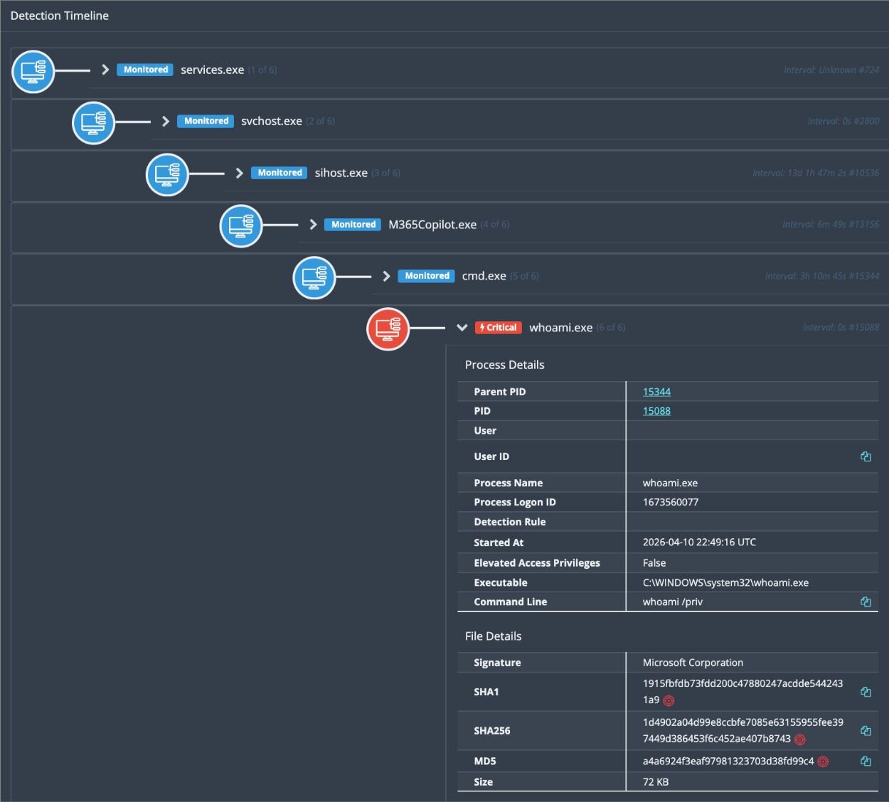 whoami /priv spawned from M365Copilot process